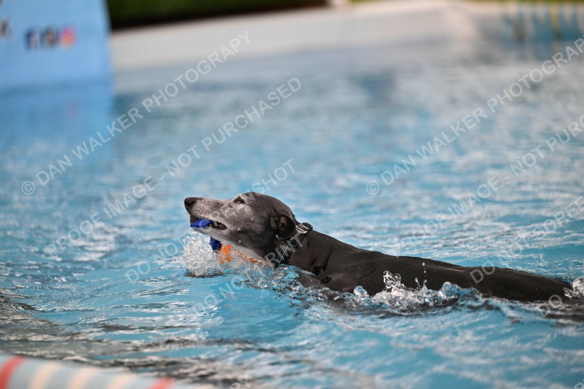 Dukes-5-17-25-00507_30115 PM