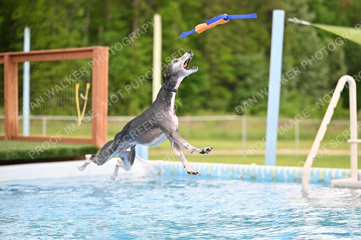 Dukes-5-17-25-00515_30142 PM