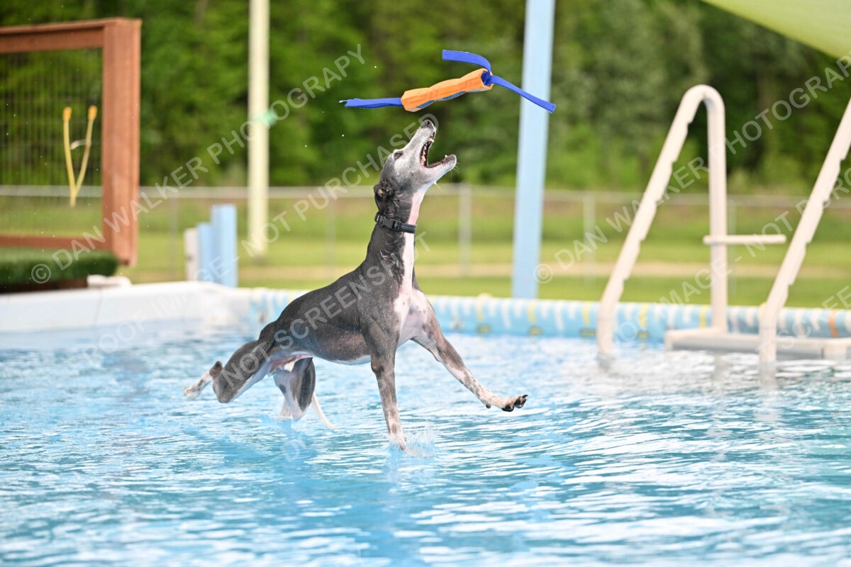 Dukes-5-17-25-00516_30142 PM