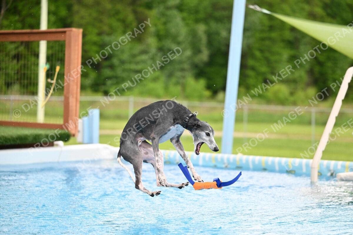 Dukes-5-17-25-00523_30222 PM