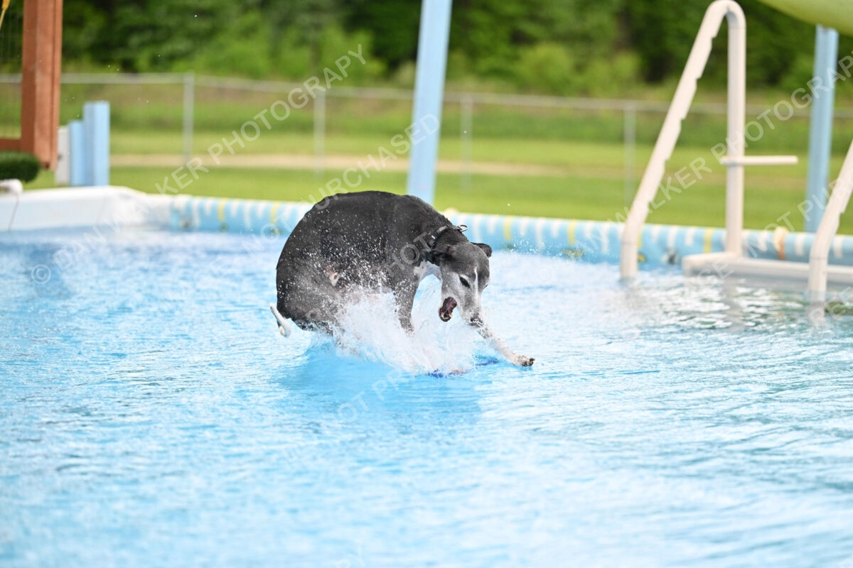 Dukes-5-17-25-00524_30222 PM