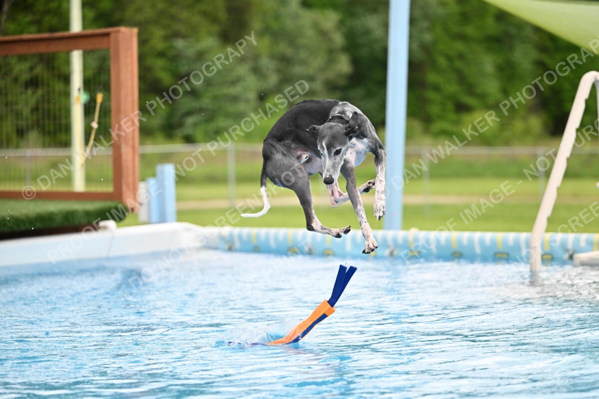 Dukes-5-17-25-00534_30300 PM