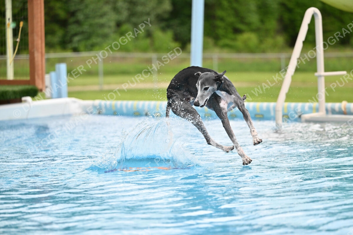 Dukes-5-17-25-00535_30300 PM