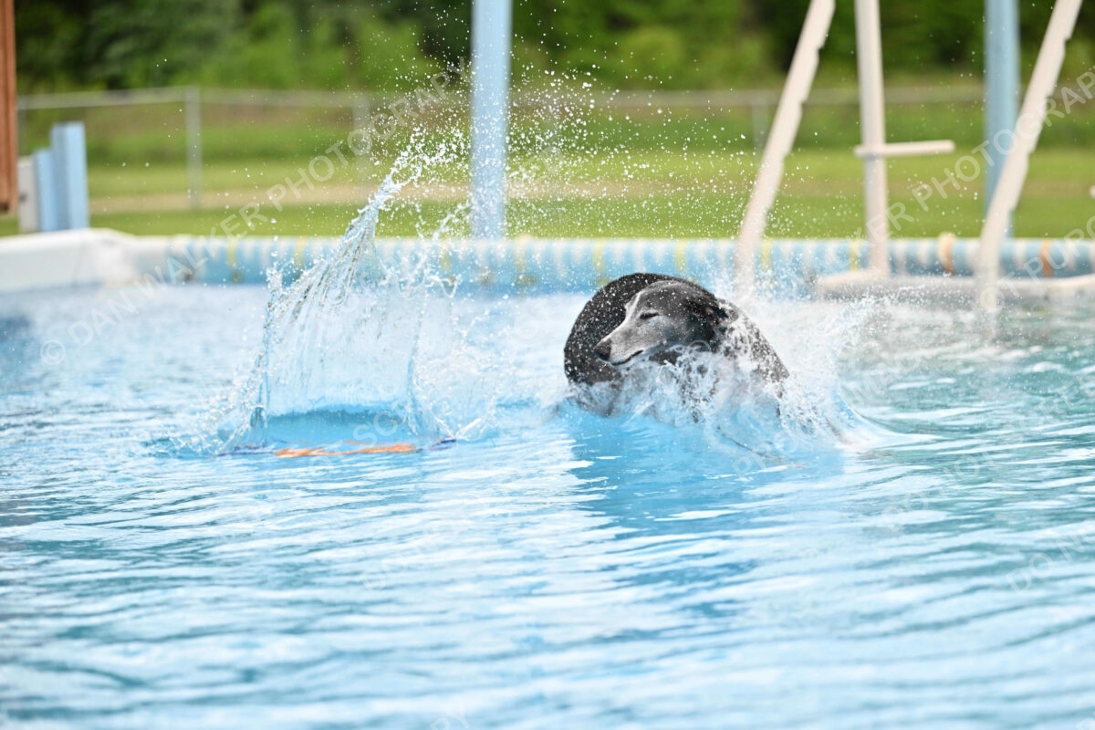 Dukes-5-17-25-00536_30300 PM