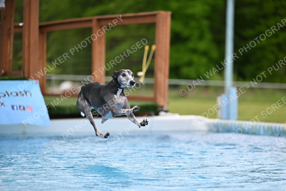 Dukes-5-17-25-00545_30348 PM