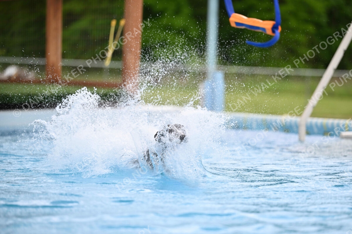 Dukes-5-17-25-00547_30348 PM