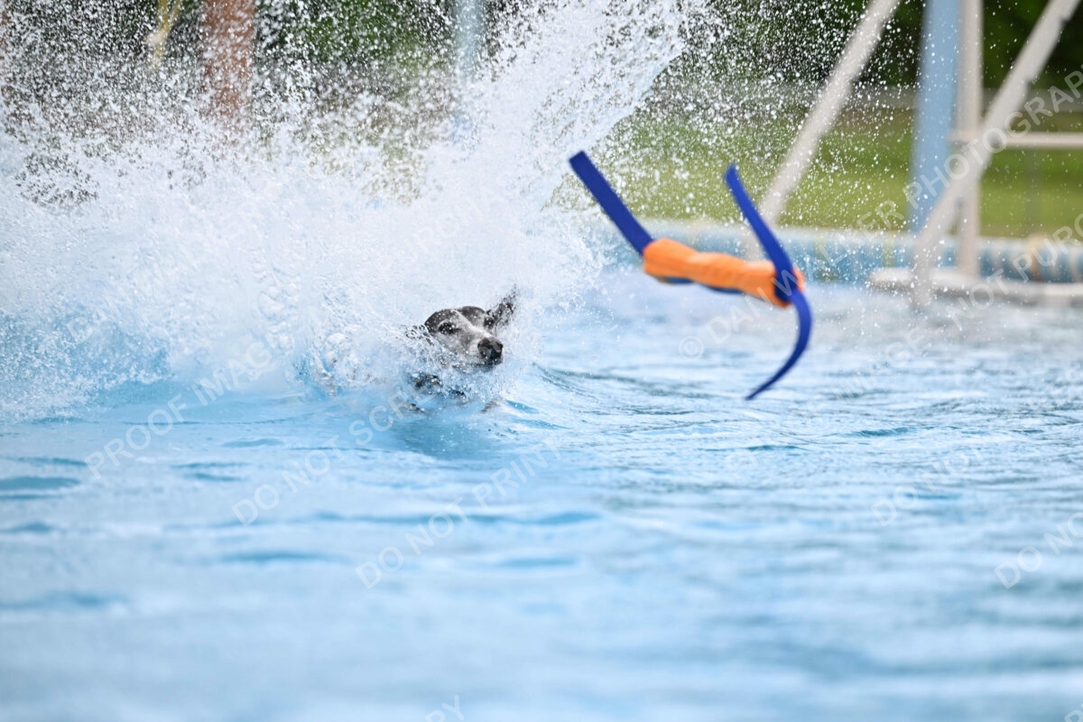 Dukes-5-17-25-00548_30348 PM