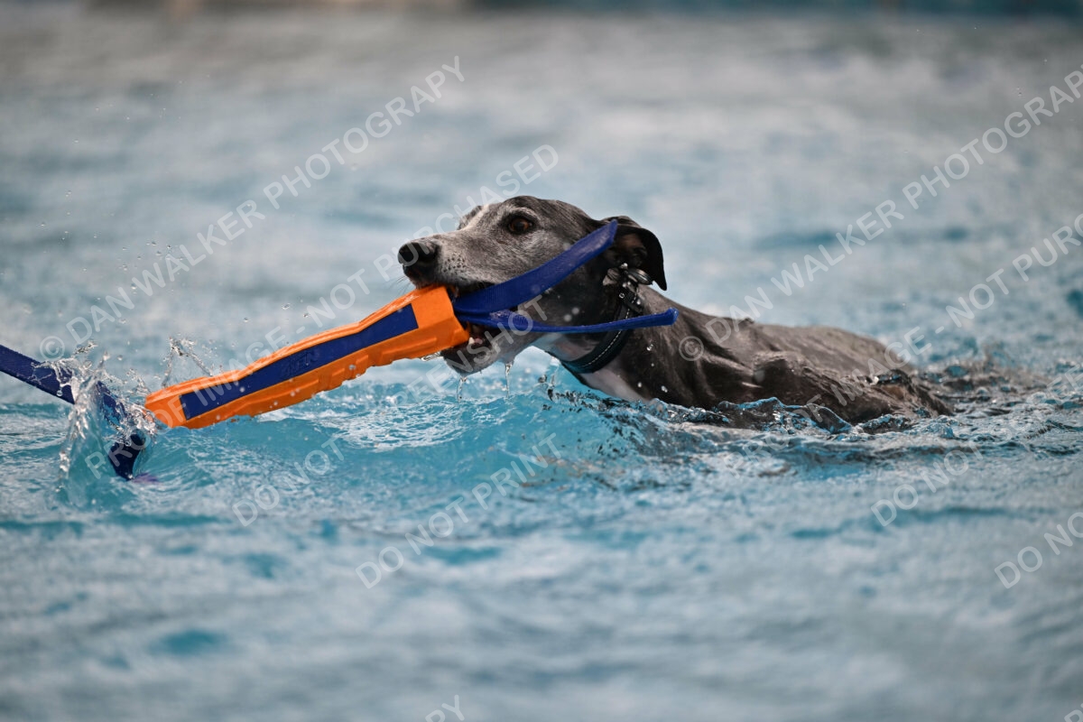 Dukes-5-17-25-00549_30350 PM