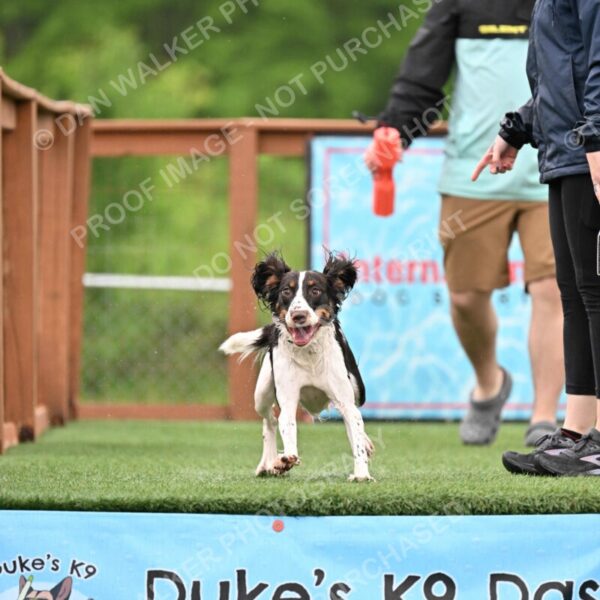 Dukes-5-17-25-00550_91625 AM