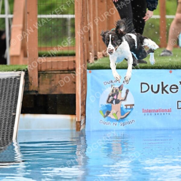 Dukes-5-17-25-00557_91646 AM