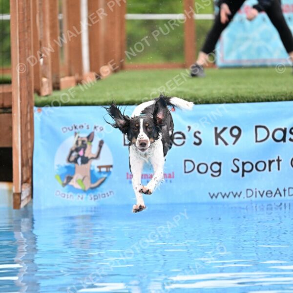 Dukes-5-17-25-00573_91841 AM