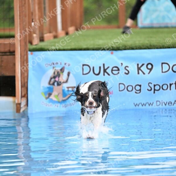 Dukes-5-17-25-00574_91841 AM