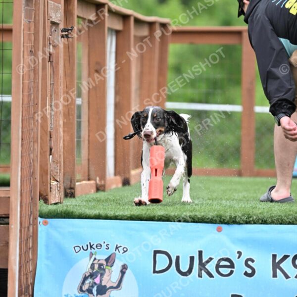 Dukes-5-17-25-00575_91917 AM