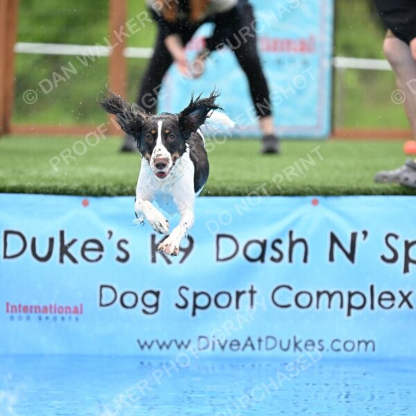 Dukes-5-17-25-00582_91943 AM