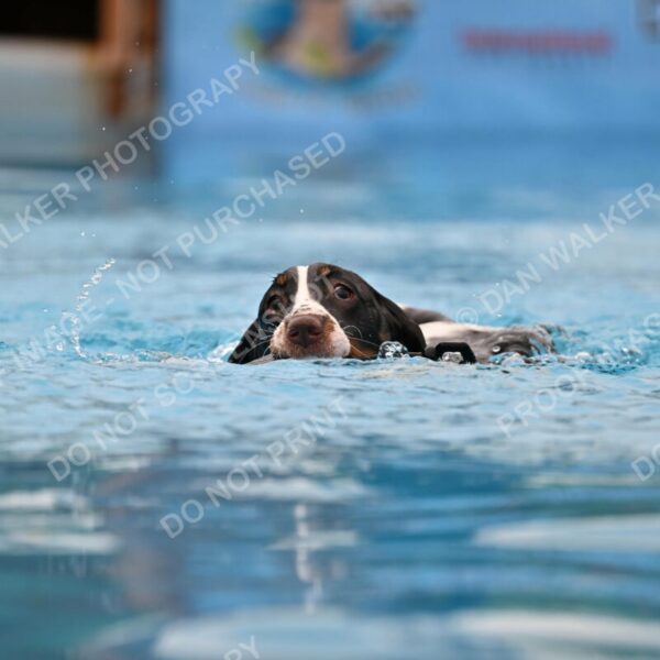 Dukes-5-17-25-00593_92051 AM