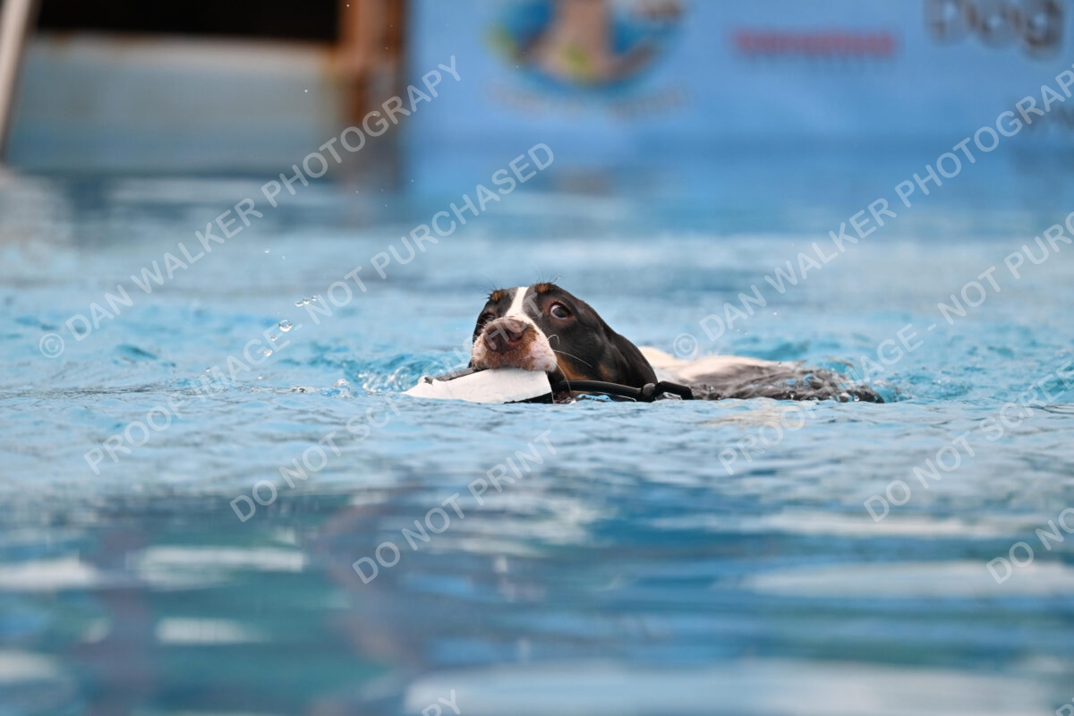 Dukes-5-17-25-00594_92051 AM