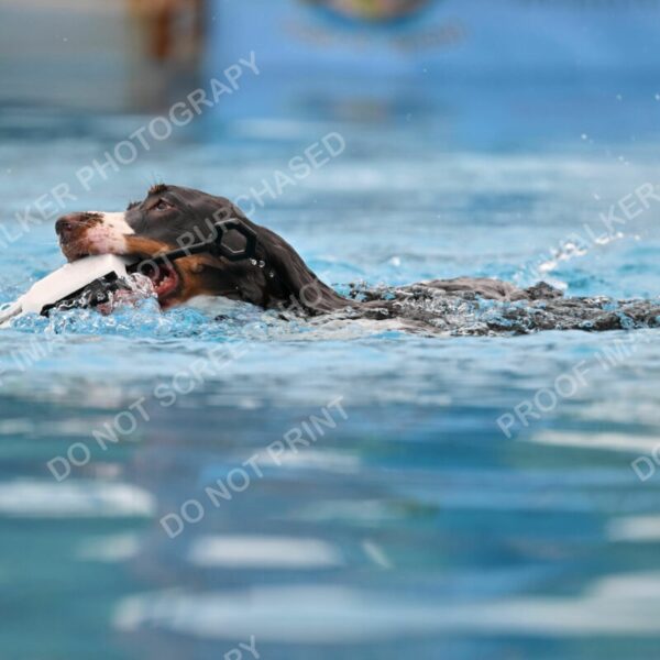 Dukes-5-17-25-00595_92051 AM