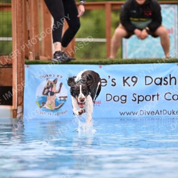 Dukes-5-17-25-00603_92154 AM