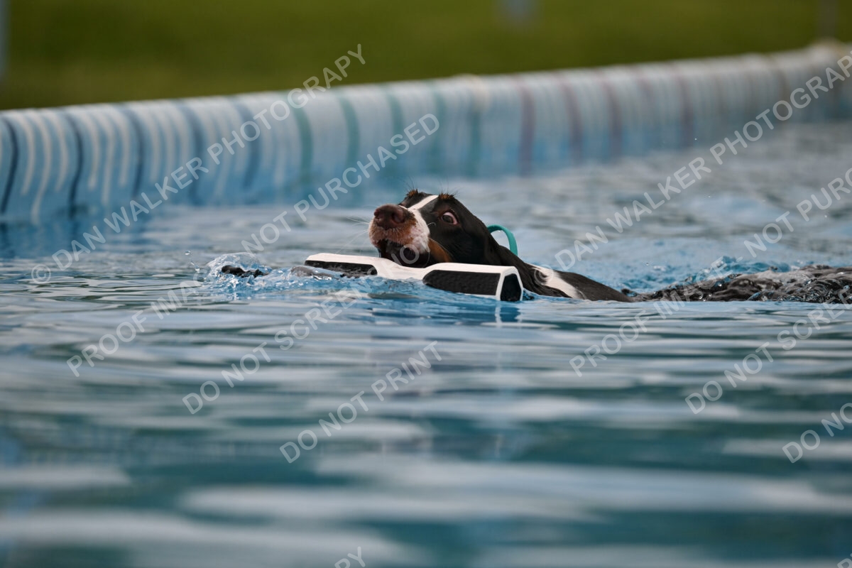 Dukes-5-17-25-00605_92159 AM