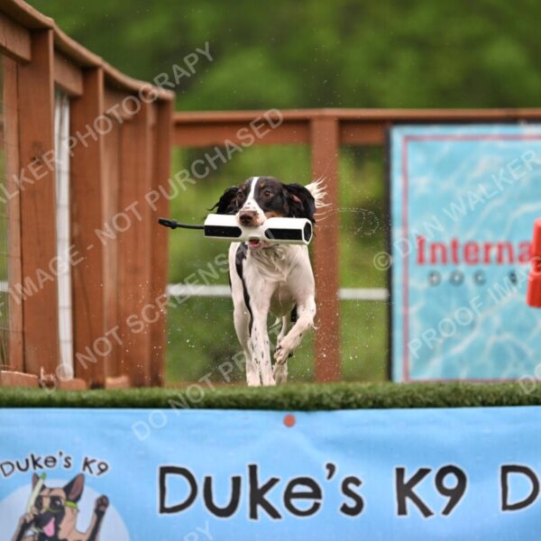 Dukes-5-17-25-00606_92229 AM