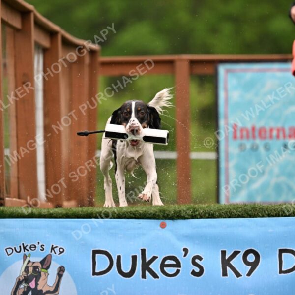 Dukes-5-17-25-00607_92230 AM