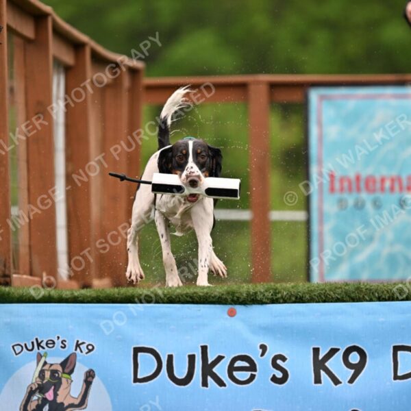 Dukes-5-17-25-00608_92230 AM