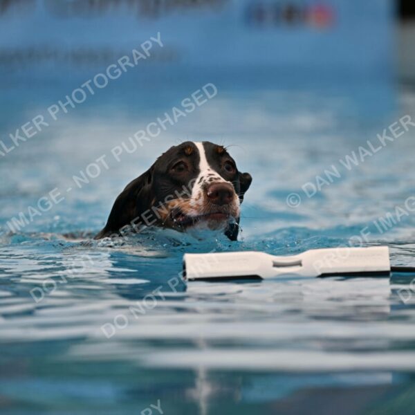 Dukes-5-17-25-00619_92319 AM