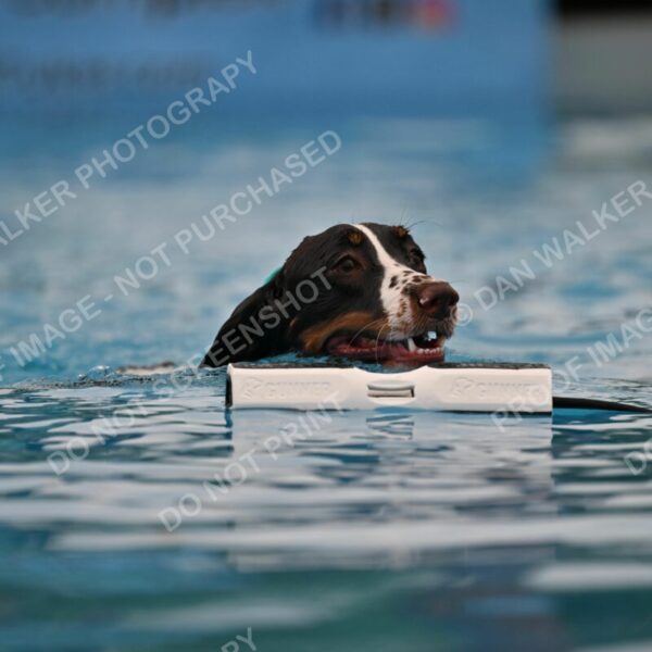 Dukes-5-17-25-00620_92319 AM