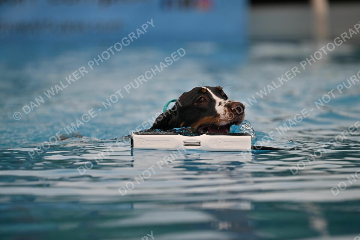 Dukes-5-17-25-00621_92319 AM