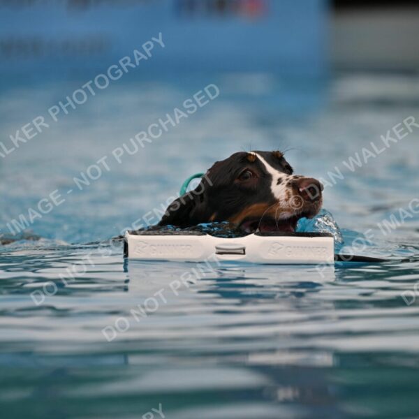 Dukes-5-17-25-00621_92319 AM