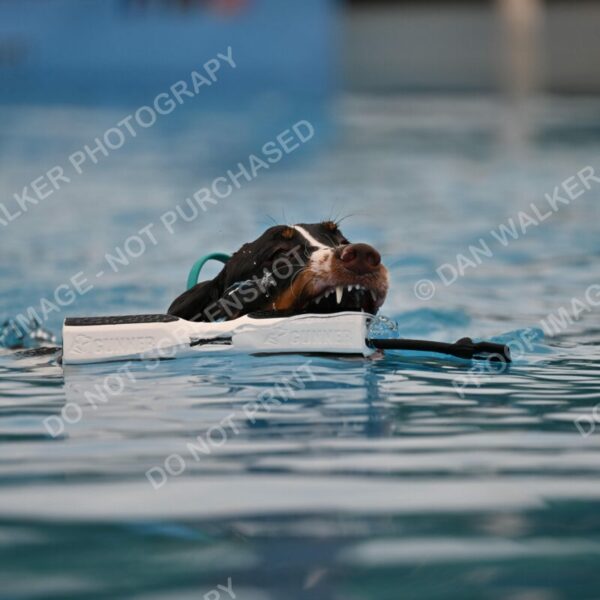 Dukes-5-17-25-00622_92319 AM