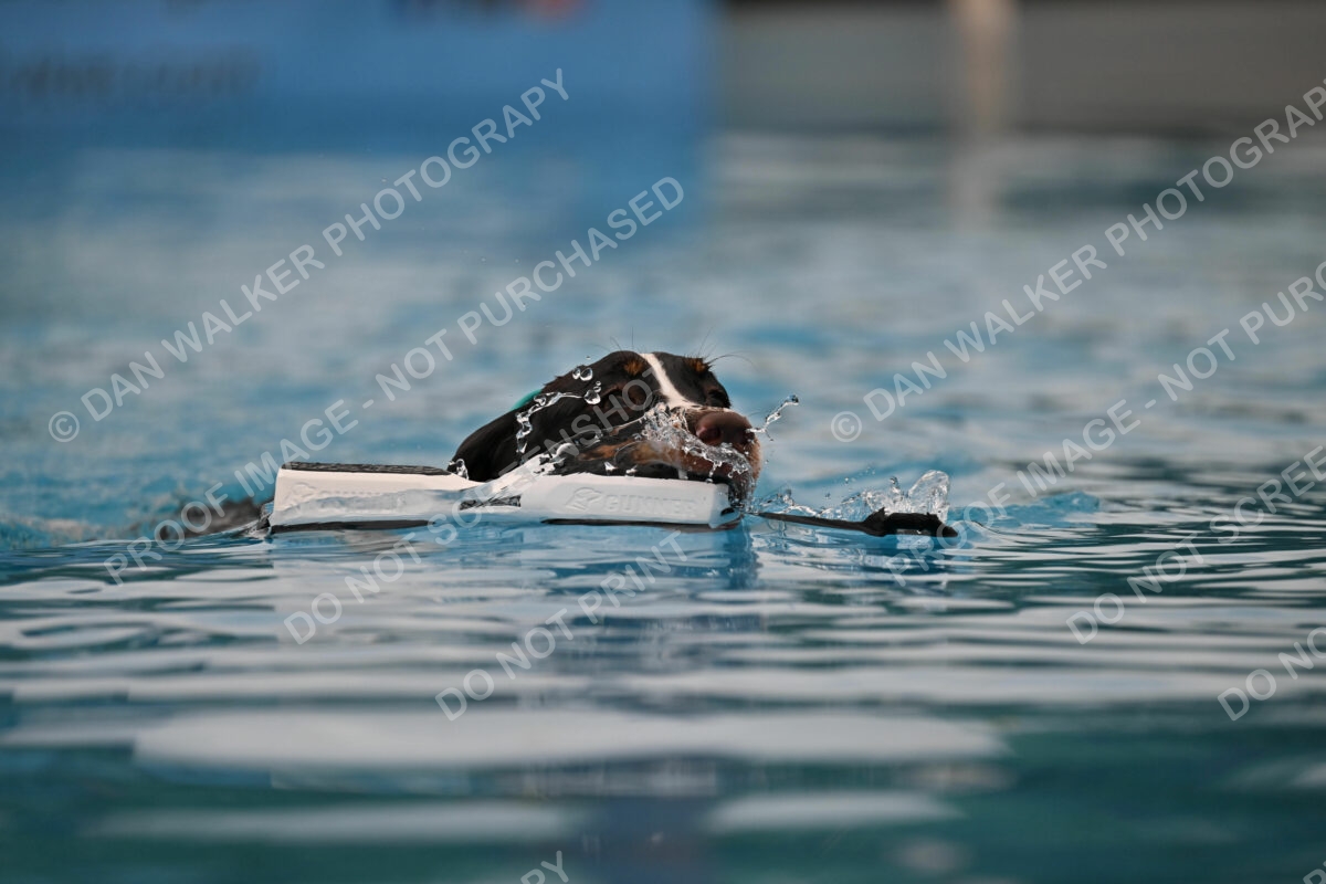 Dukes-5-17-25-00623_92319 AM