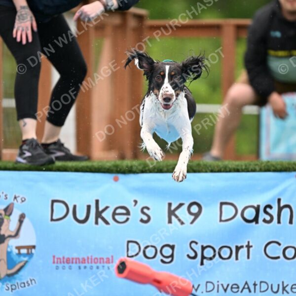 Dukes-5-17-25-00627_92448 AM