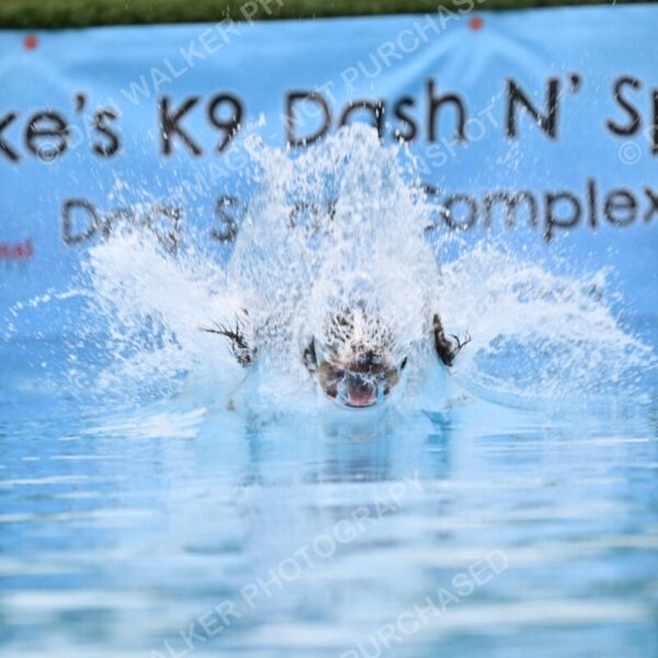 Dukes-5-17-25-00636_92606 AM