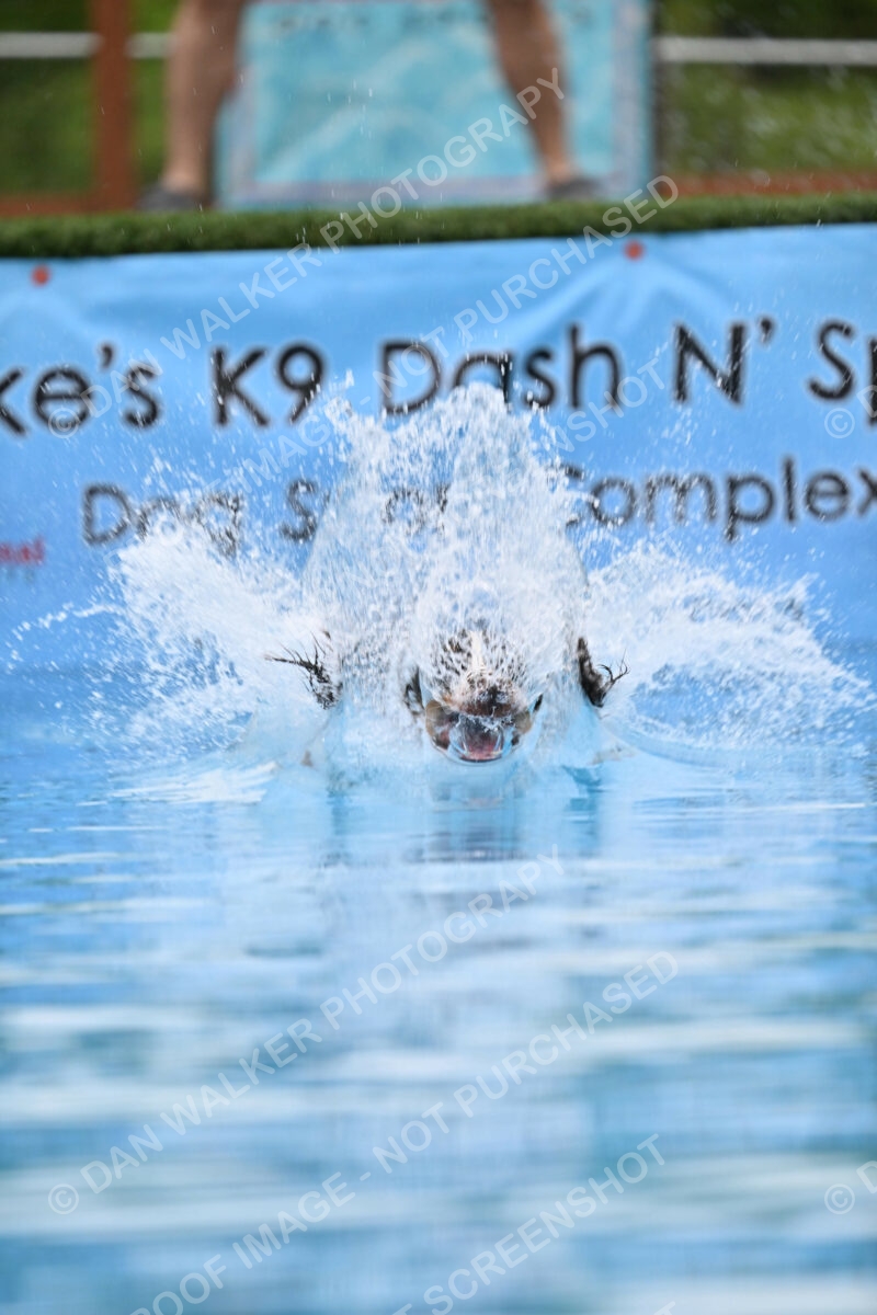 Dukes-5-17-25-00636_92606 AM