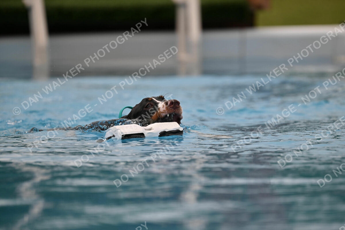 Dukes-5-17-25-00637_92609 AM