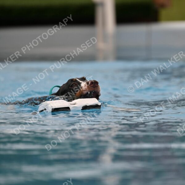 Dukes-5-17-25-00637_92609 AM