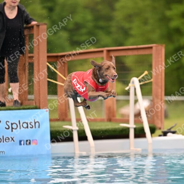 Dukes-5-17-25-00645_92927 AM