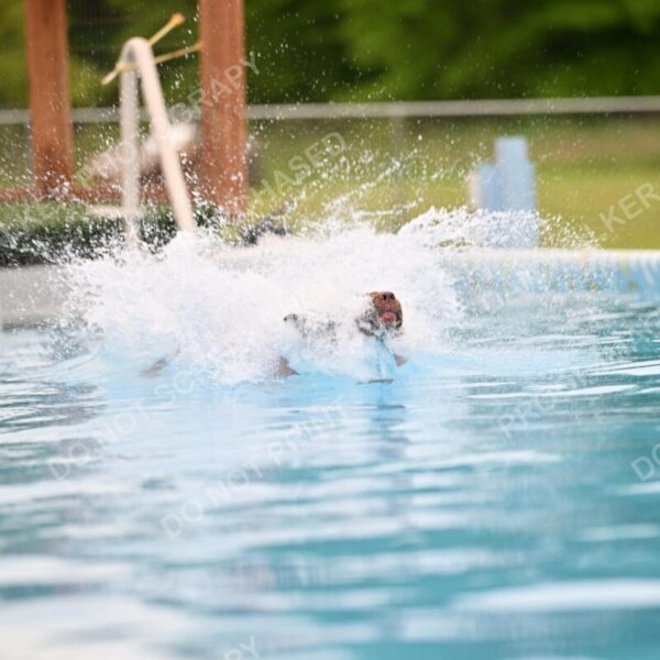 Dukes-5-17-25-00648_92927 AM