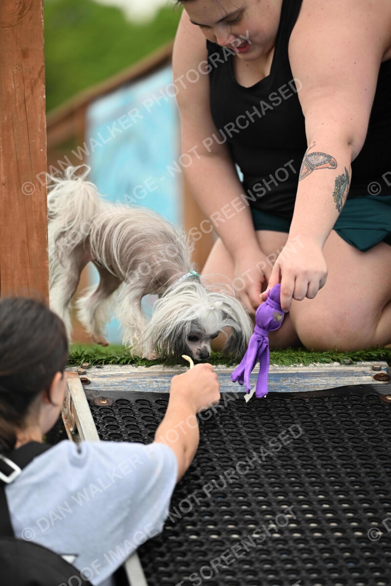 Dukes-5-17-25-00661_93255 AM