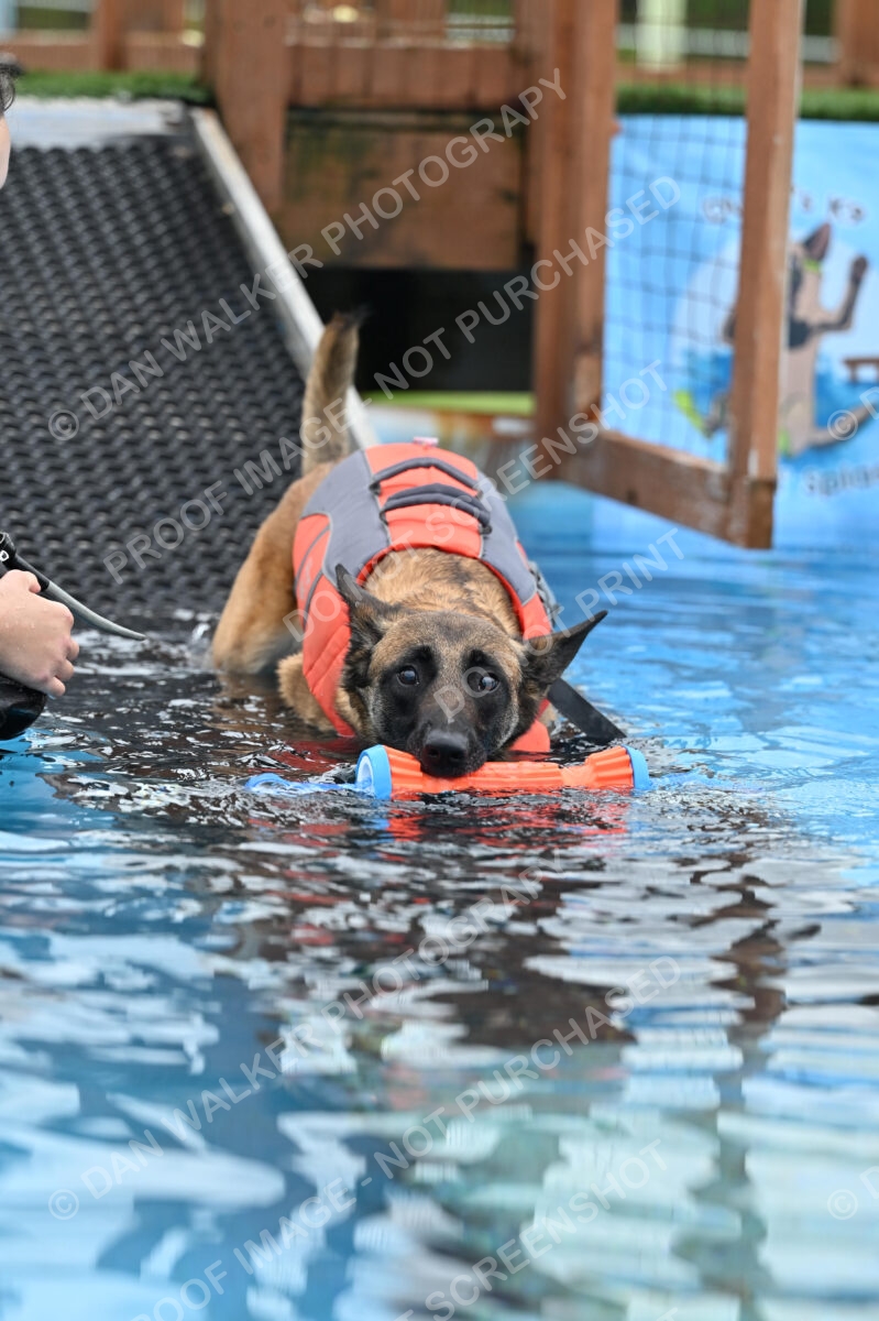 Dukes-5-17-25-00669_94227 AM