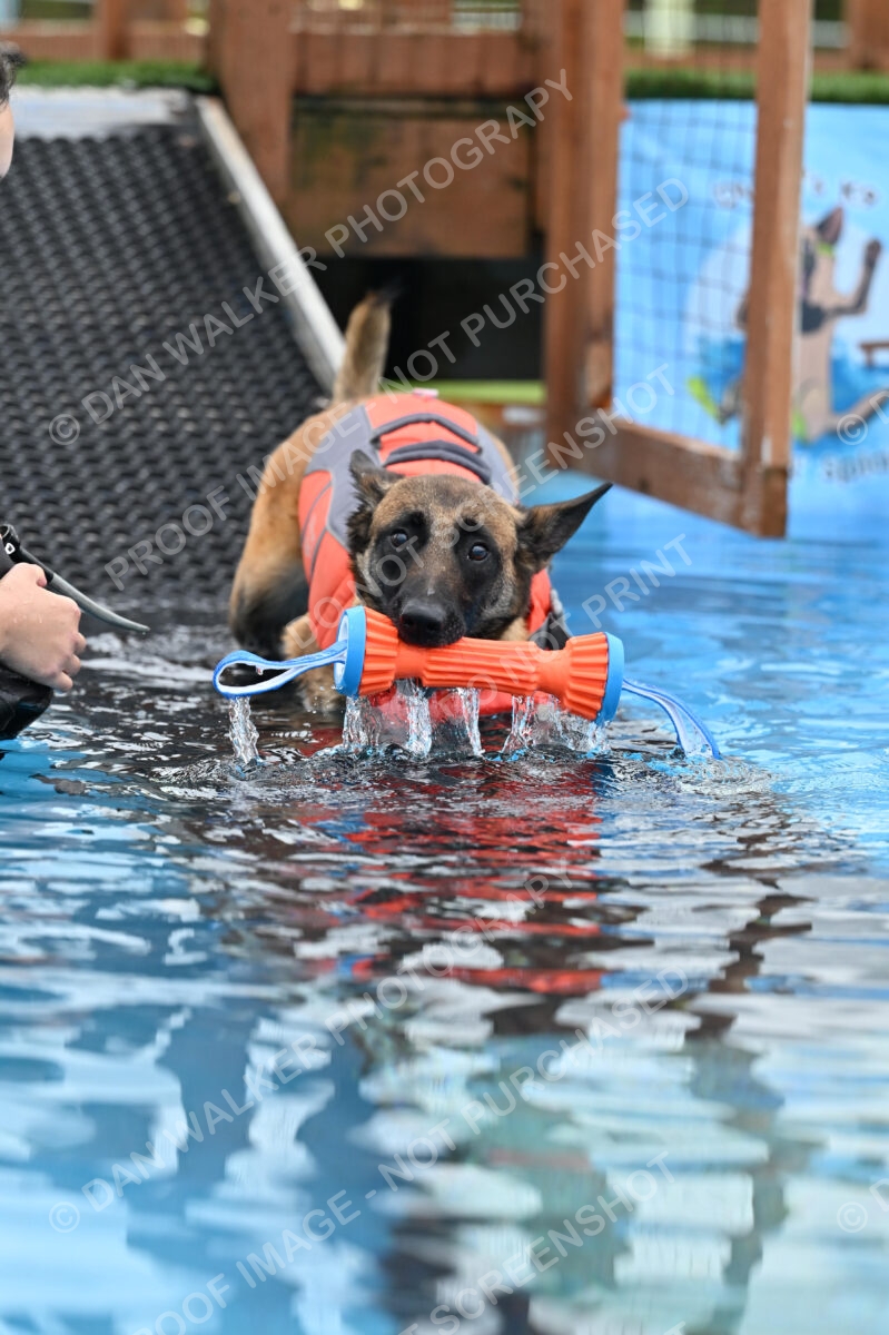 Dukes-5-17-25-00670_94228 AM