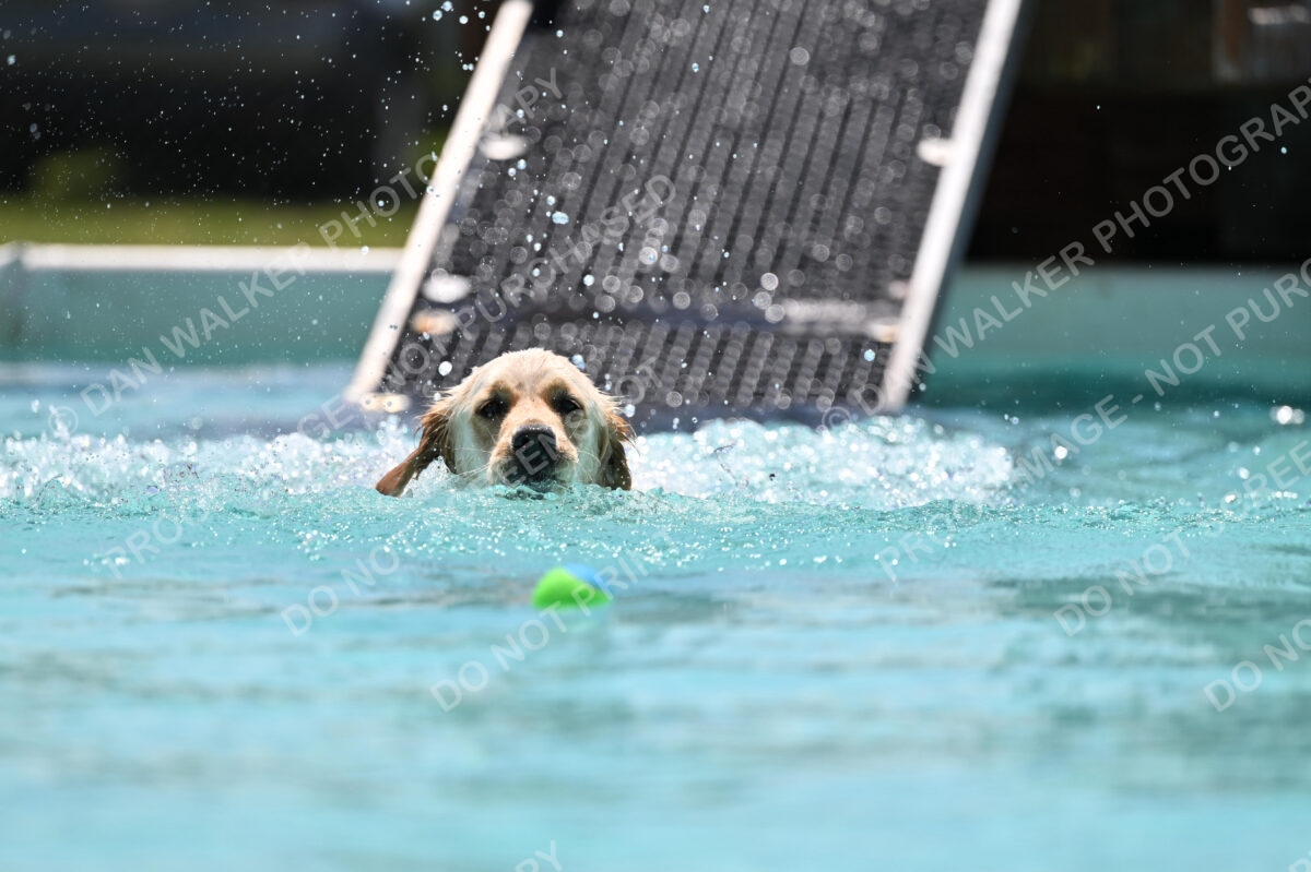 Dukes-5-17-25-01204_120358 PM