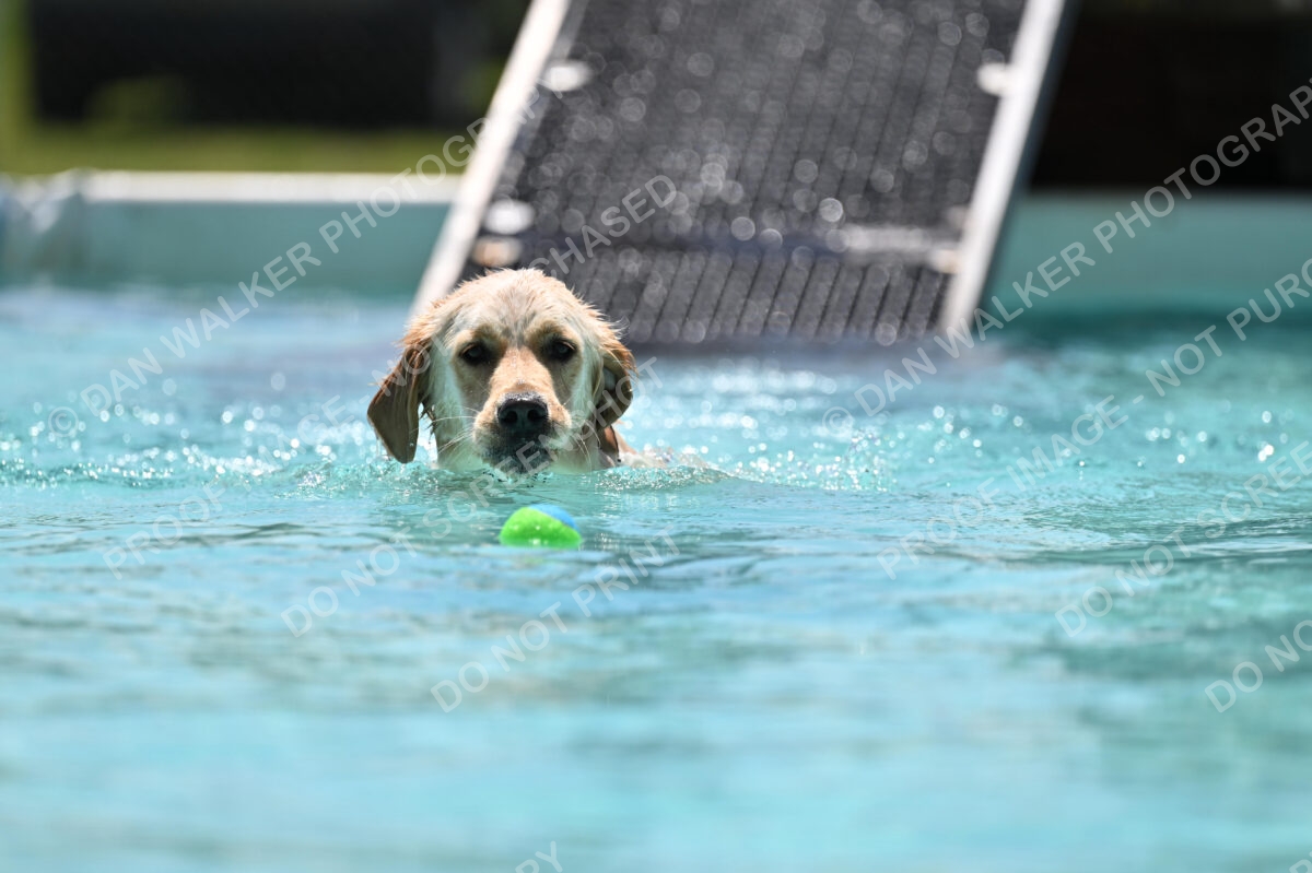 Dukes-5-17-25-01205_120359 PM