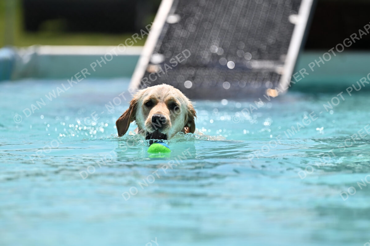 Dukes-5-17-25-01206_120359 PM