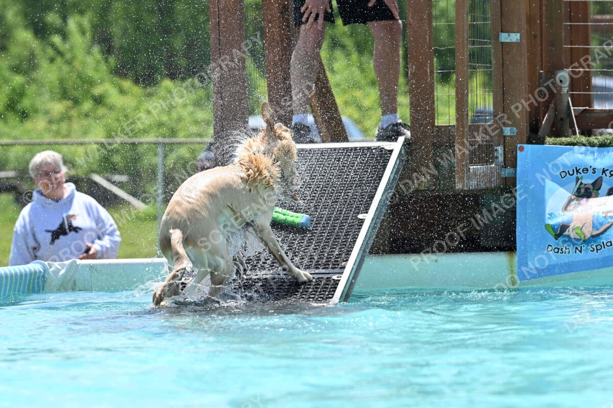 Dukes-5-17-25-01213_120623 PM