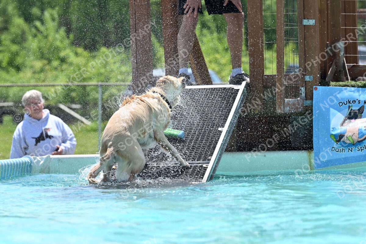 Dukes-5-17-25-01215_120623 PM