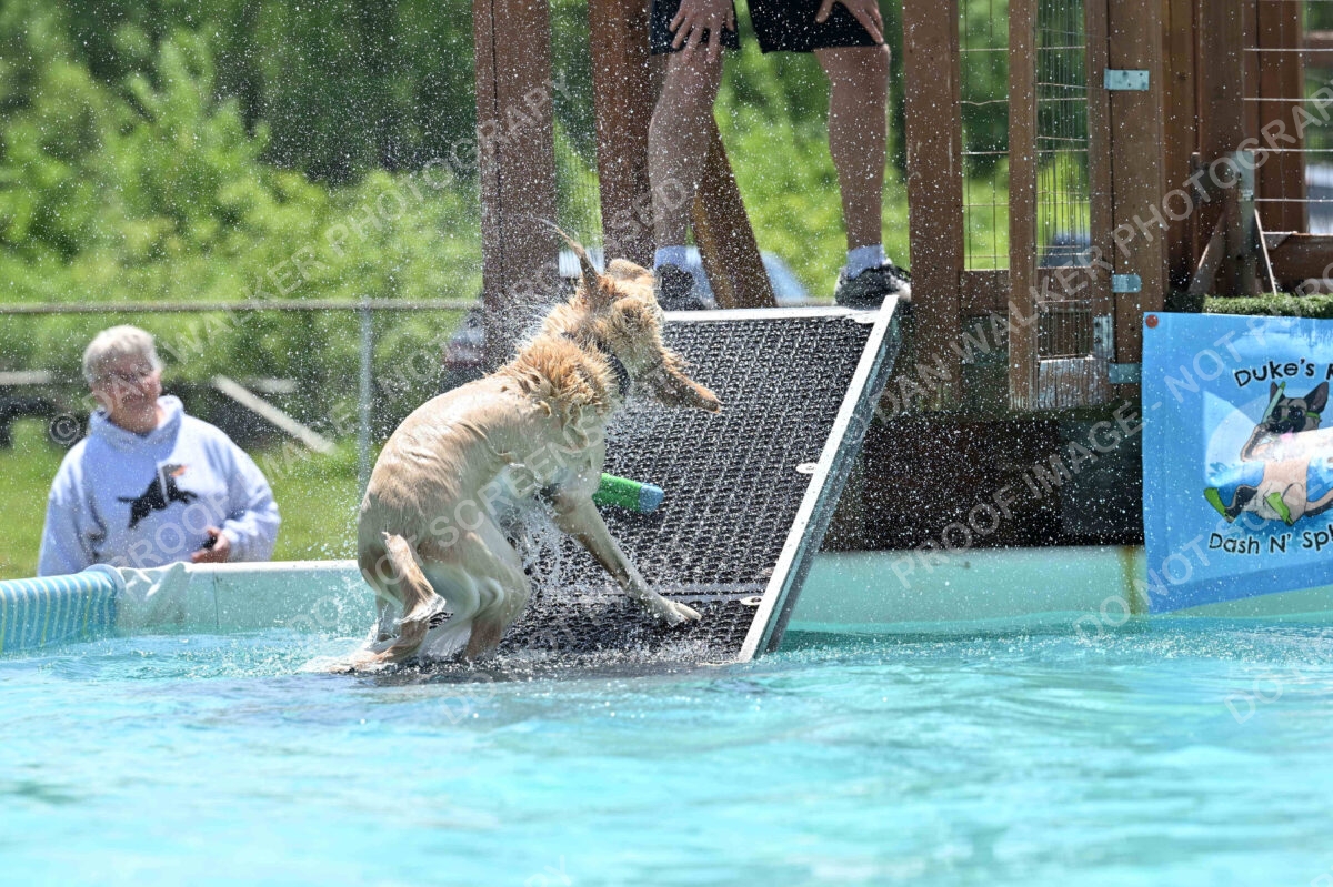 Dukes-5-17-25-01216_120624 PM