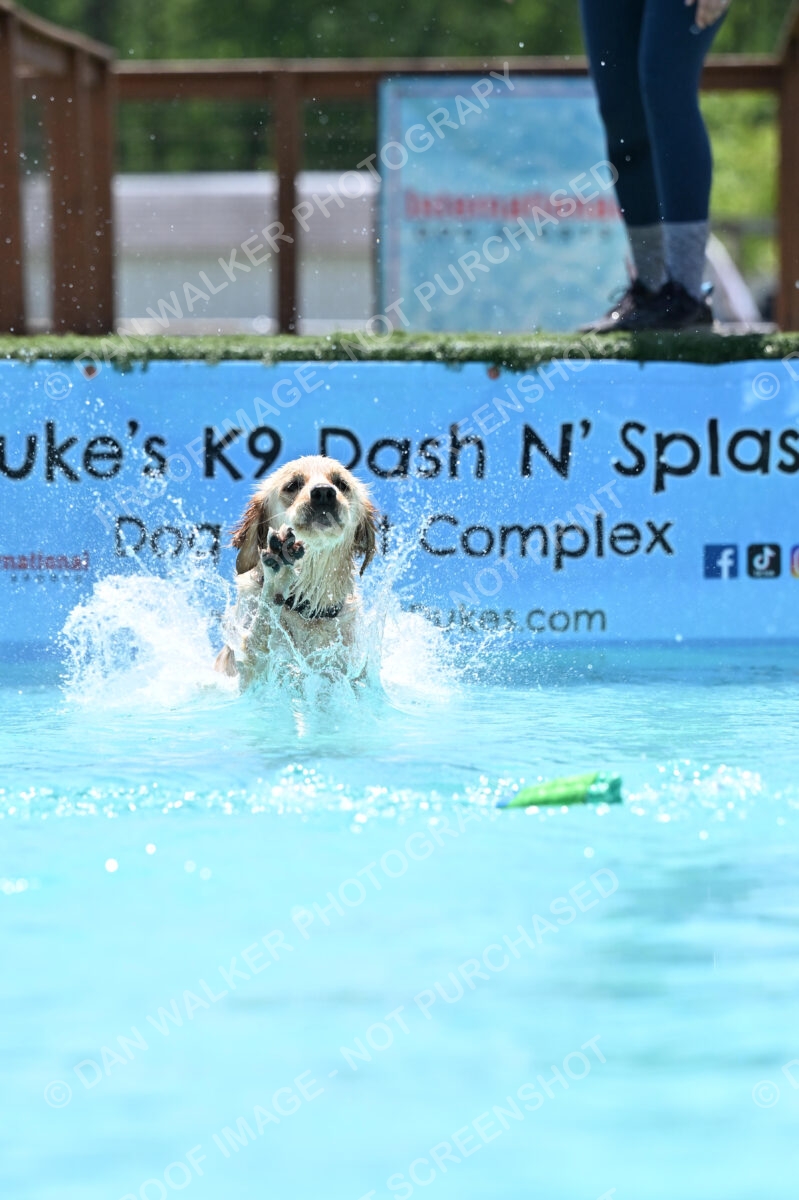 Dukes-5-17-25-01249_120735 PM