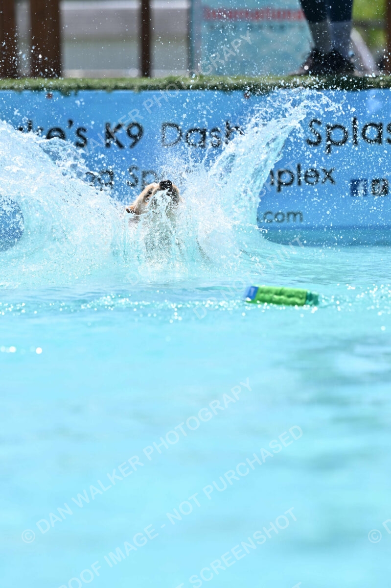 Dukes-5-17-25-01251_120735 PM